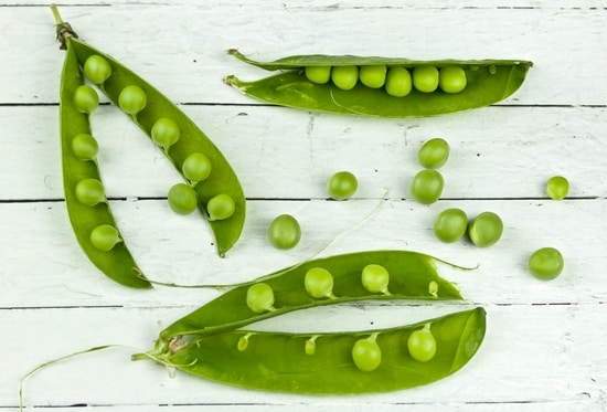 Fresh Peas are ready to cook